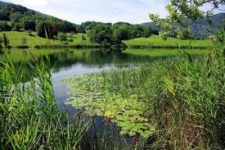 Colloque national à Brest « Réparer la nature »