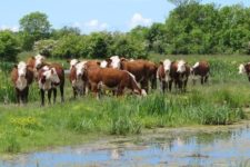 76ème congrès Bétail et Viande à Nantes