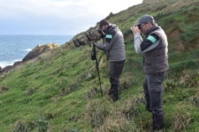 Natura 2000 : suivre et évaluer pour mieux gérer