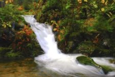 Colloque « Têtes de bassin versant » à Paris
